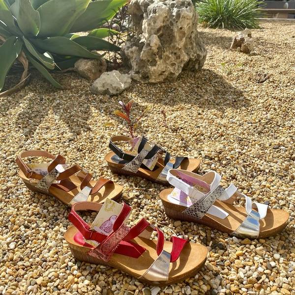 LES CHAUSSEURS DU GOLFE